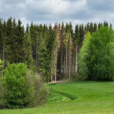 Tiny House In Buntenbock *
