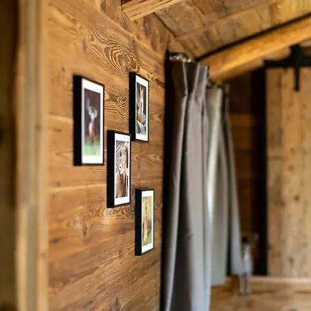 Tiny House In Buntenbock * Clausthal-Zellerfeld